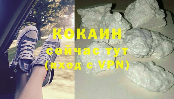 дурь Бронницы