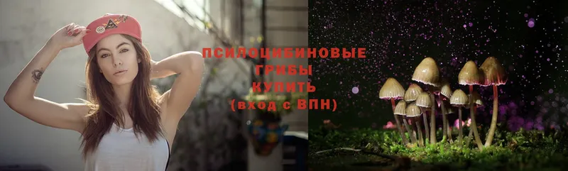 Галлюциногенные грибы Magic Shrooms  Ликино-Дулёво 